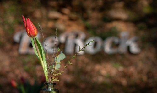 BeRock Benevoles-2026 Loic-Marchand-64